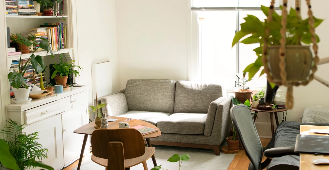 Decoración eco-friendly para transformar tu hogar